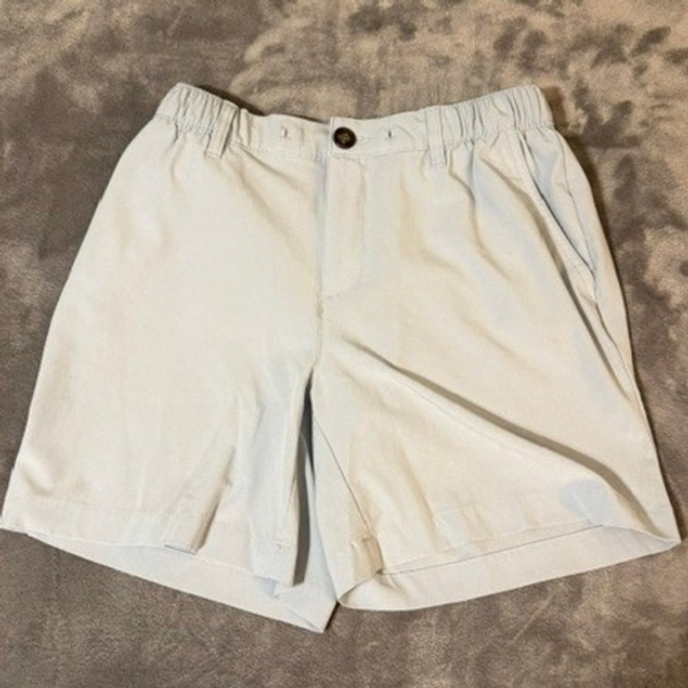 Chubbies Shorts Mens Med Light Blue Everyday 6" Inseam Regular Fit Performance